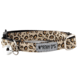 The Worthy Dog Cheetah Tan Cat Collar For Cheap