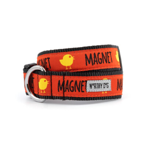 The Worthy Dog Chick Magnet Dog Collar Supply