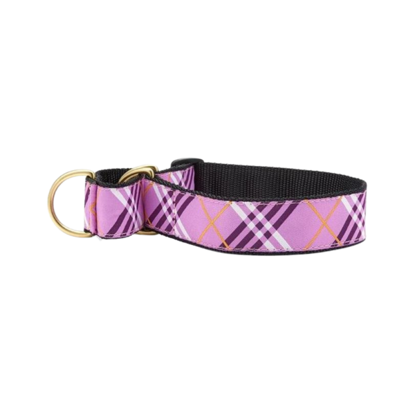 Up Country Lavender Lattice Cat Collar Supply