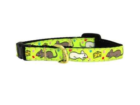 Up Country Say Cheese Cat Collar Discount