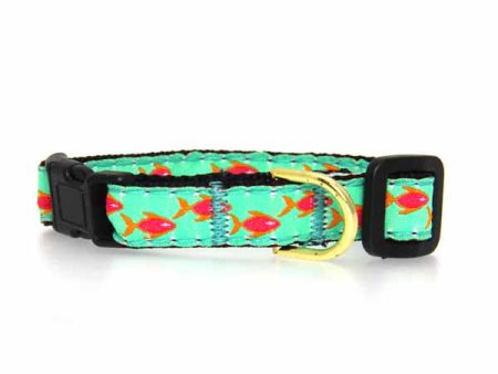 Up Country Tropical Fish Cat Collar Online Hot Sale