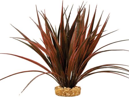 Blue Ribbon Pet Products - Colorburst Florals Mini Sword Plant Online Hot Sale