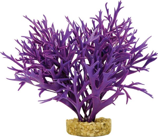 Blue Ribbon Pet Products - Colorburst Florals Large Water Crest For Discount