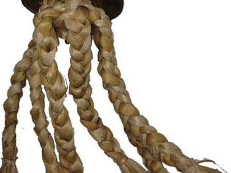 A&e Cage Company - Java Wood Jelly Fish Bird Toy Online