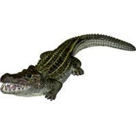 Blue Ribbon Pet Products - Exotic Environments Bubbling Alligator Cheap