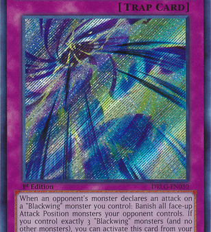 Black Sonic [DRLG-EN030] Secret Rare Sale